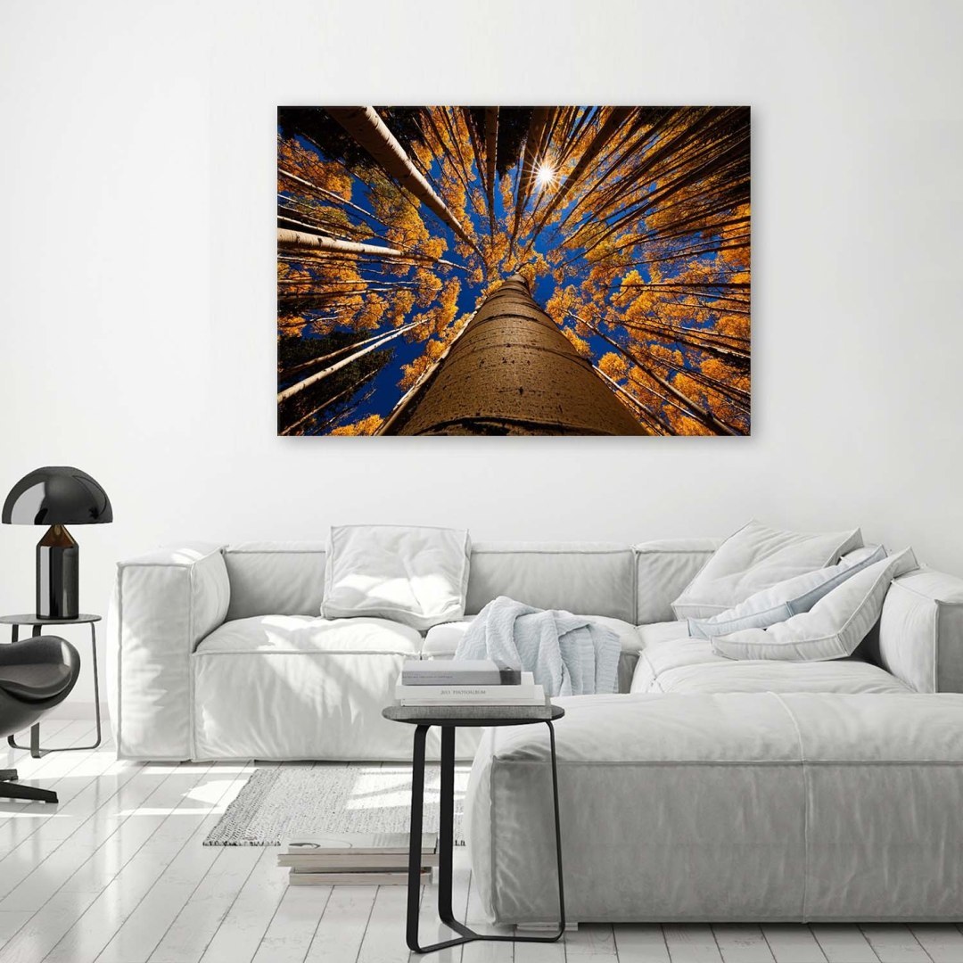 Emaga Obraz na płótnie, Korony drzew las - 120x80